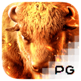 Halaman Bonus Game Starlight Princess Sugar Rush Mahjong Ways 1 2 Lucky Neko Wild Bandito Buffalo Win