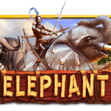 Halaman Utama Link Slot Server Thailand Dana 5k Terpercaya Maxwin Elephant